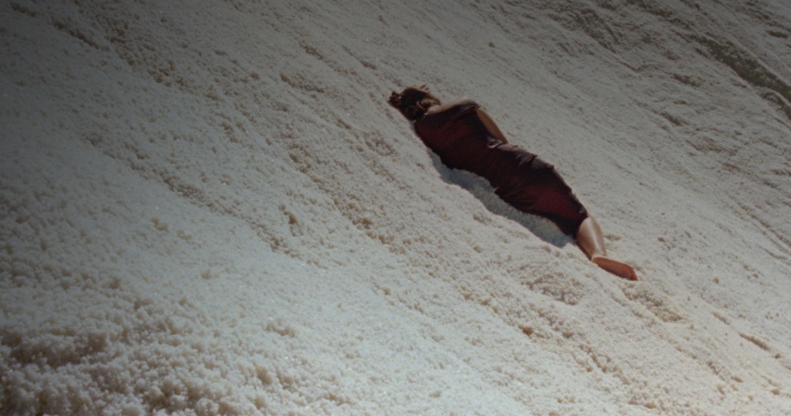 The Loneliness of Lizards