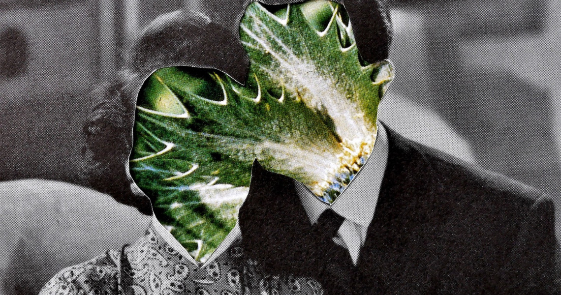 She Dolls with Dollies